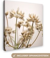 Canvas Schilderij Droogbloemen - Beige - Wit - Planten - 90x90 cm - Wanddecoratie
