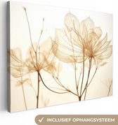 Canvas Schilderij Droogbloemen - Beige - Planten - Wit - 40x30 cm - Wanddecoratie