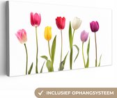 Tableau sur toile Tulipes - Fleurs - Wit - Nature morte - 80x40 cm - Décoration murale
