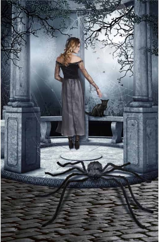 Boland Hairy Spider Xl 75 X 125 Cm Polyester / acier Noir