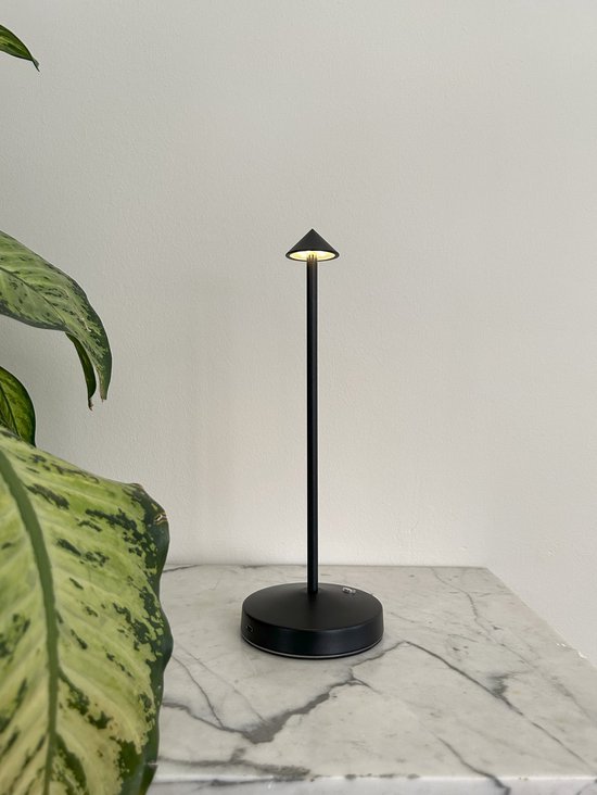 Kizozo Wireless LED Table Lamp, Table Lamp with Battery, Dimmable LED Table Lamp, Night Light for Living Room, Bedroom, 3 Light Colours