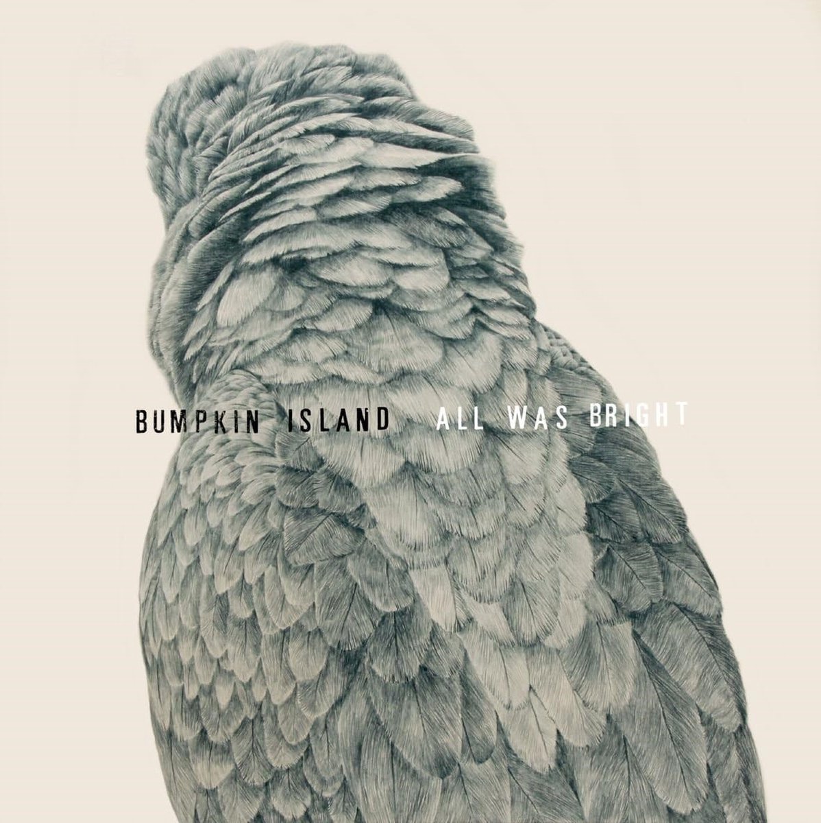Bumpkin Island - All Was Bright (CD)