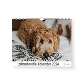 Huurdies - Labradoodle Kalender - Jaarkalender 2024 - 35x24 - 300gms