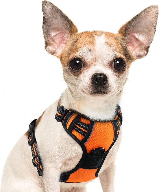 JAXY Hondenharnas - Hondentuig - Hondentuigje Kleine Hond - Y Tuig Hond - Harnas Hond - Anti Trek Tuig Hond - Reflecterend - Maat S - Oranje