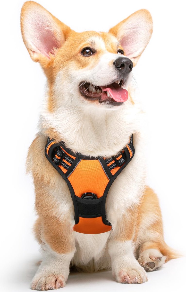 Harnais Chien / Harnais pour petit chien- Orange taille XL -- Anti Traction  Réglable Réfléchissant Matériau Respirant + Bol