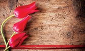 Fotobehang - Vlies Behang - Rode Tulpen op Hout - 312 x 219 cm