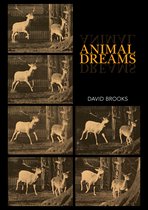 Animal Publics- Animal Dreams