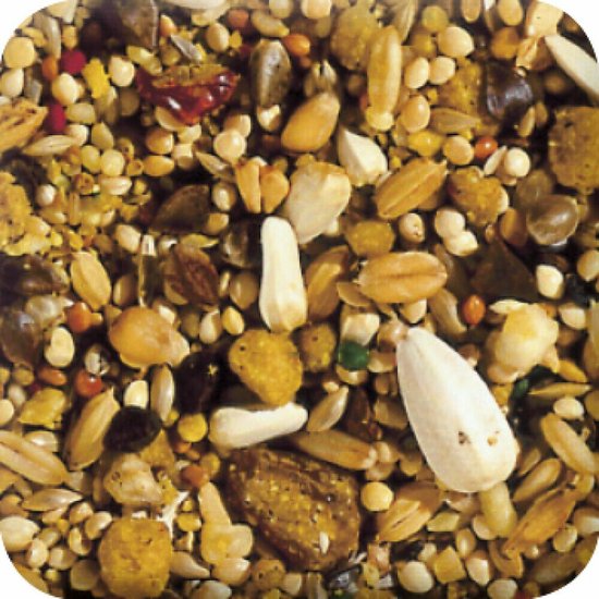 Beaphar Xtravital Grote Parkie - Vogelvoer - 500 g