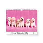 Huurdies - Puppy kalender- Jaarkalender 2024 - 35x24 - 300gms