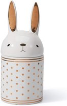 Koekjesblik voorraaddozen eenvoudig te reinigen konijnjesstijl jerrycan voor het huis geschenk aandenken giftbox keramiek 20cmH