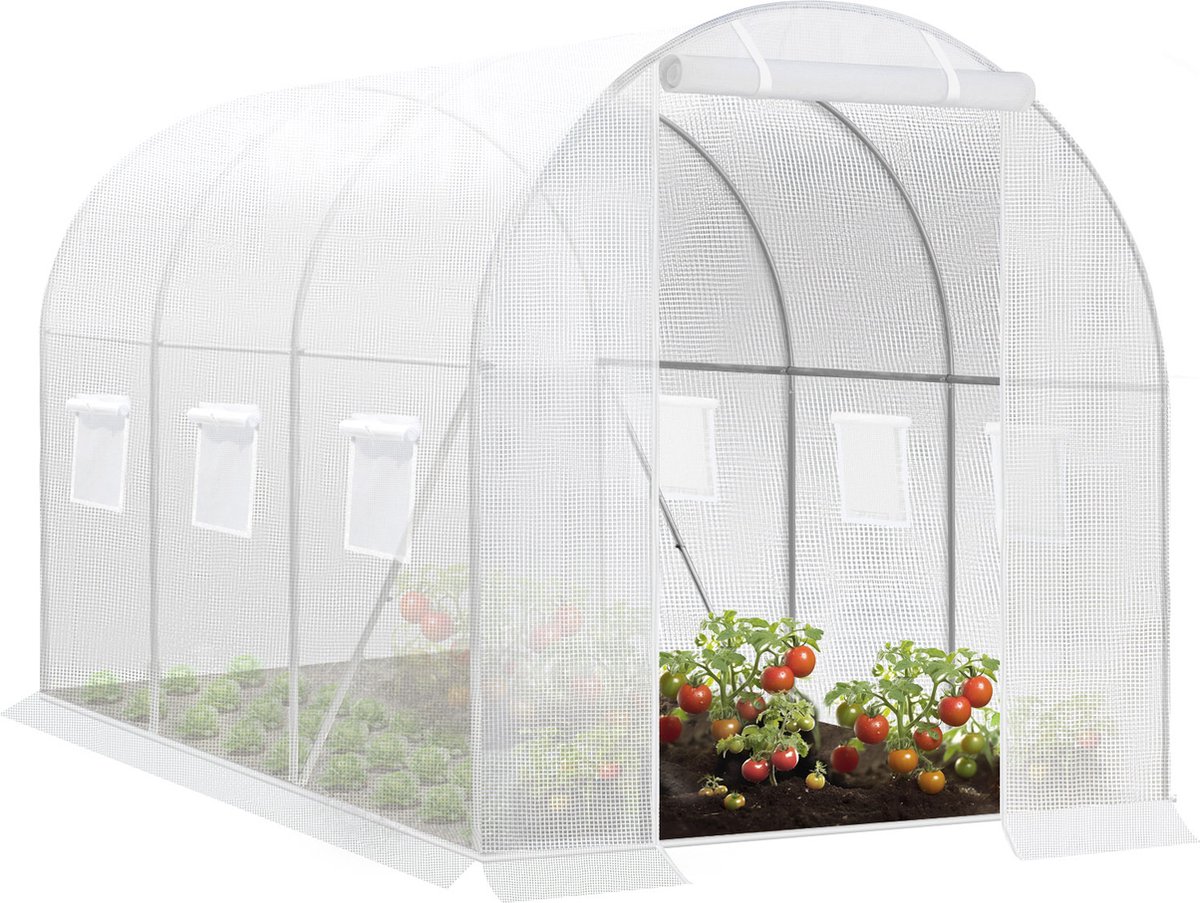 BukkitBow – Polytunnel Tuinkas – Winterproof Tunnel voor Groenten Teelt – Compacte Tuinkas met Deur en 6 Ramen - 300X200X190CM - Wit