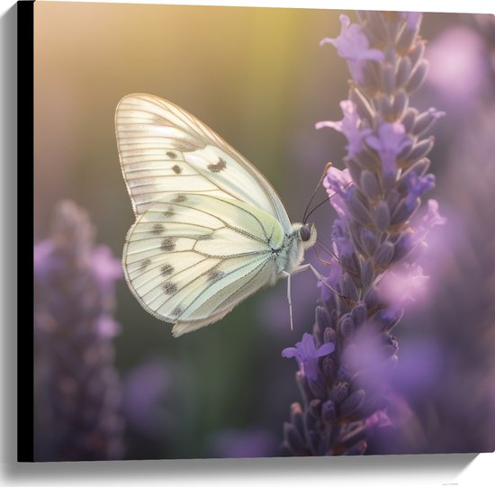 Canvas - Insect - Vlinder - Bloem - Lavendel - 60x60 cm Foto op Canvas Schilderij (Wanddecoratie op Canvas)