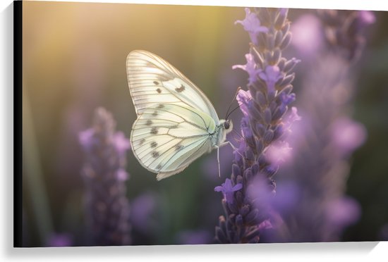 Canvas - Insect - Vlinder - Bloem - Lavendel - 90x60 cm Foto op Canvas Schilderij (Wanddecoratie op Canvas)