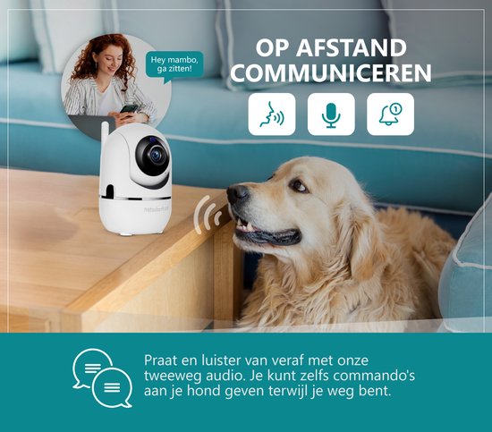 Beveiligingscamera - Huisdiercamera - WiFi - Full HD - Beweeg en geluidsdetectie - Petcam met app - Hondencamera - Bewakingscamera voor Binnen Indoor Camera - Wit - BS Producten