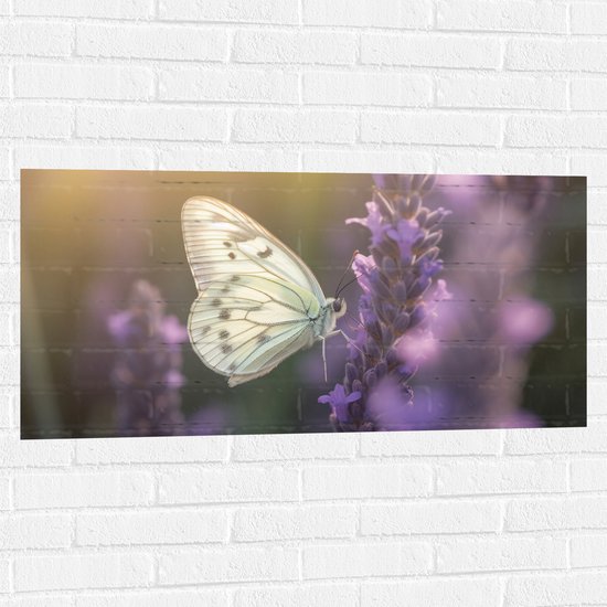 Muursticker - Insect - Vlinder - Bloem - Lavendel - 100x50 cm Foto op Muursticker