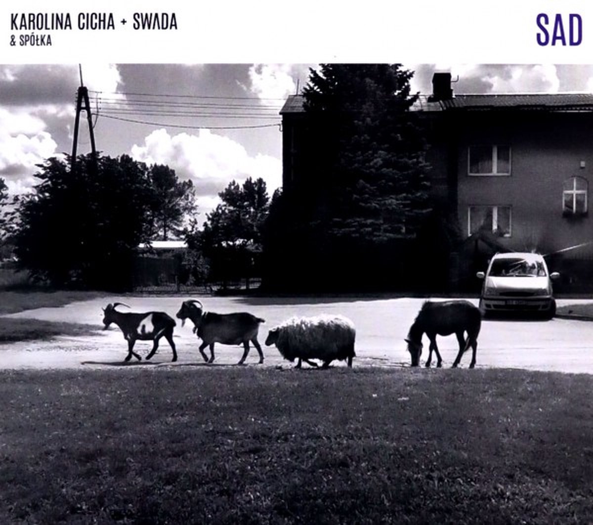 Karolina Cicha & Sw@da: Sad [CD]