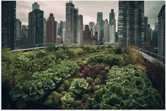 Poster (Mat) - Stad - Gebouwen - Planten - Groen - 60x40 cm Foto op Posterpapier met een Matte look