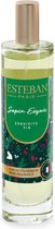 Esteban - Edition Limited Noël - Parfum d'ambiance - Sapin Exquis - boisé & ambré - 50 ml