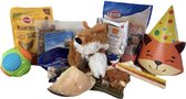 Shiba's Verjaardagsbox - Verrasingsbox - Honden - Snacks - Botjes - Koekjes - Speelgoed