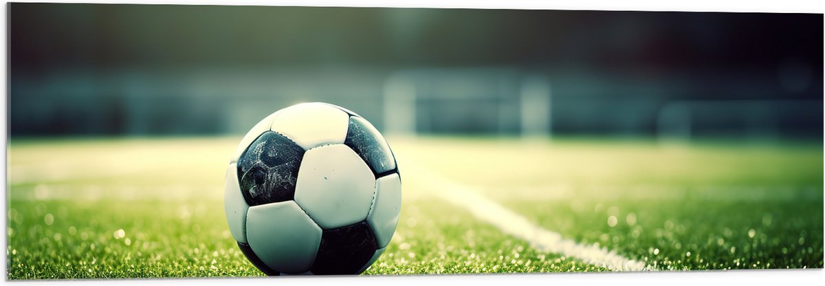 Acrylglas - Veld - Bal - Voetbal - Lijn - 120x40 cm Foto op Acrylglas (Wanddecoratie op Acrylaat)