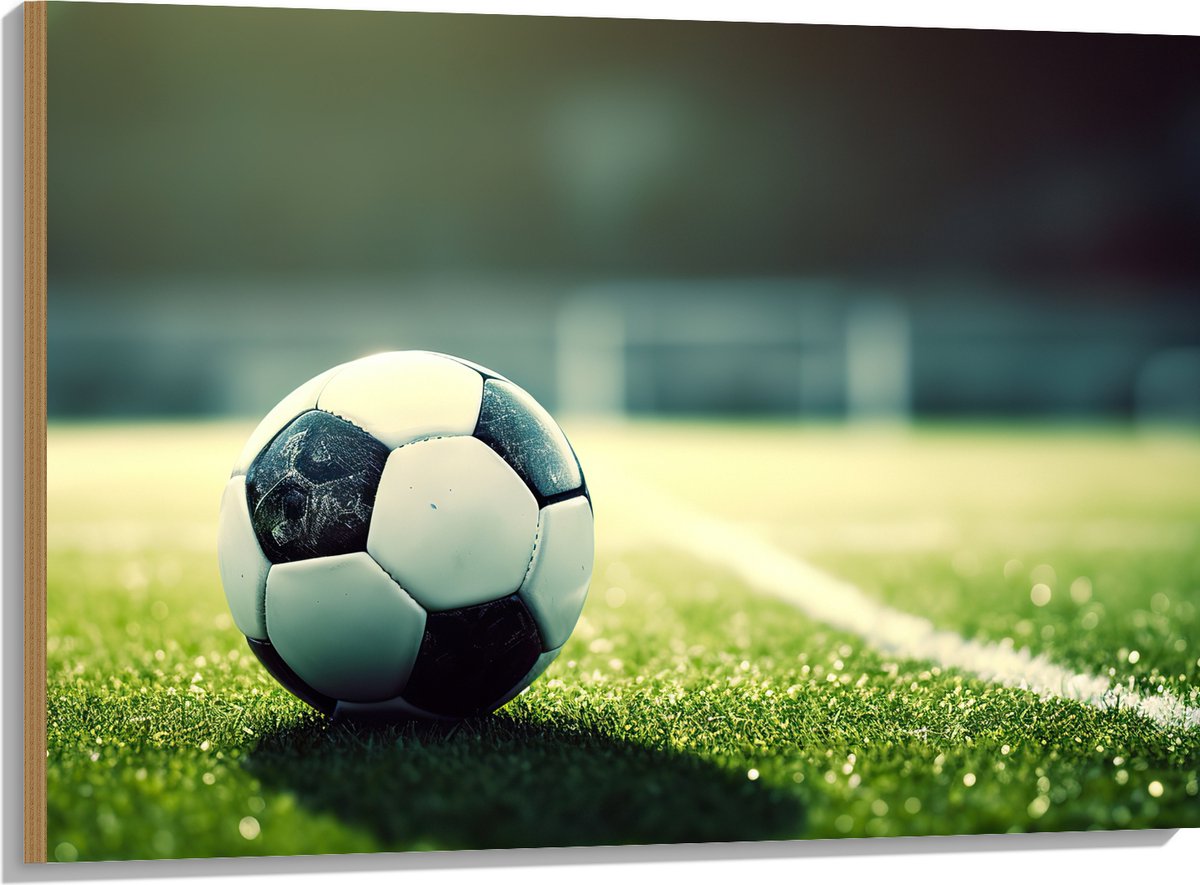 Hout - Veld - Bal - Voetbal - Lijn - 100x75 cm - 9 mm dik - Foto op Hout (Met Ophangsysteem)