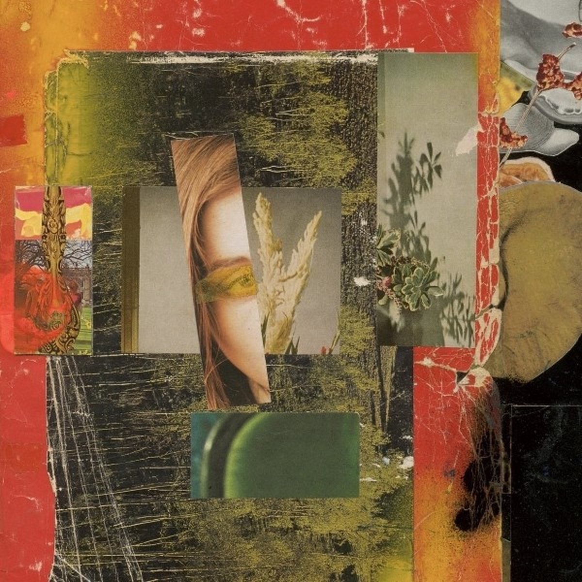 Foam Giant - Under The Trees (LP) (Coloured Vinyl)