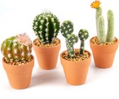 Set van 4 kunstplanten cactussen in terracotta potten, kleine stenen vullen mini decoratieve kunstmatige vetplanten in pot kunstbloemen voor thuiskantoor kamerdecoratie