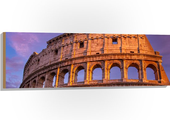 Hout - Colosseum - Rome - Stad - Gebouw - 120x40 cm - 9 mm dik - Foto op Hout (Met Ophangsysteem)