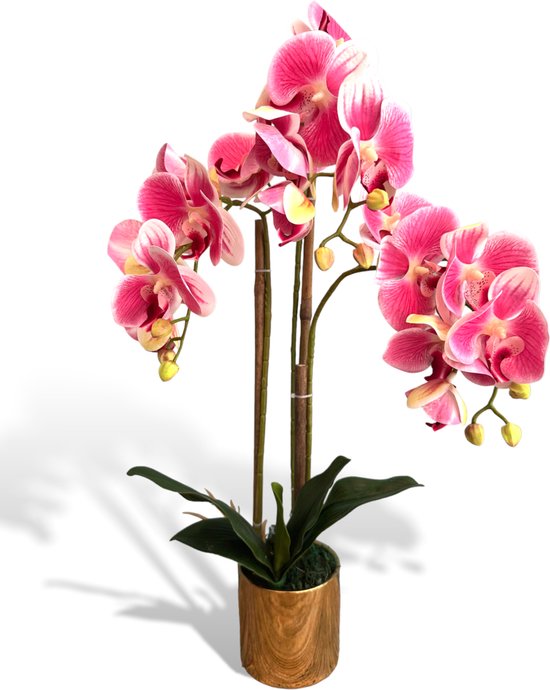 Orchidee Wit Roze Kunstbloem Met Goudkleurige Pot 60cm | Flora City | Kunstbloem kunstplant | Kunstorchidee | Nep orchidee | Levensechte Kunstorchidee