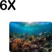 BWK Luxe Placemat - Vissen en Koraal onder Water - Set van 6 Placemats - 35x25 cm - 2 mm dik Vinyl - Anti Slip - Afneembaar