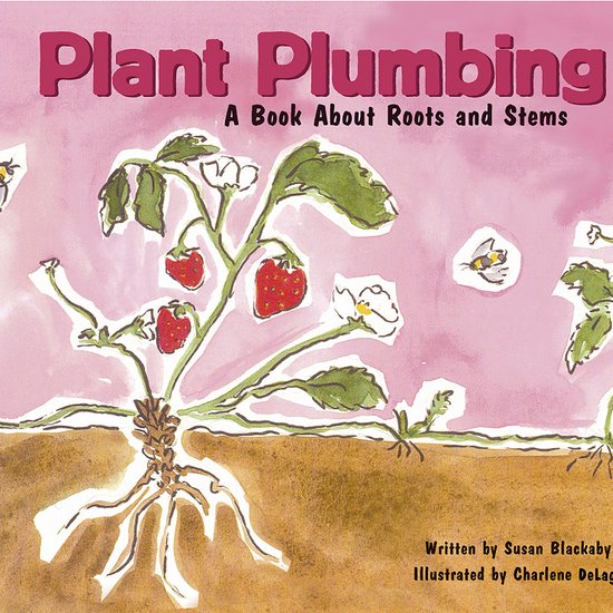 Plant Plumbing - cover