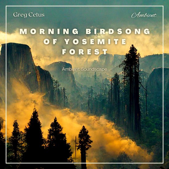 Morning Birdsong of Yosemite Forest - cover