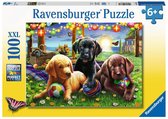 Ravensburger puzzel Honden picknick - Legpuzzel - 100 stukjes