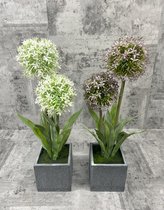 Dromist - Kunstplant - Sierui - Allium - Paars - Inclusief pot - H 45 cm -