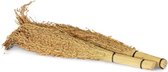 Delicha Gras 2 bundels - Overige zaden - Versnaperingen - Vogelvoer - Barmsijs (Acanthis flammea)