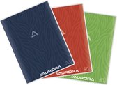 Aurora - MAXI PACK - 10 x Gelamineerd schrift (afwasbaar): Formaat A4 - Geruit (5x5mm) - 120 Bladzijden - 80gr PEFC duurzaam papier.
