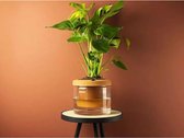 Zelfbewaterende bloempot terracotta & met glazen onderzetter - plantenpot groot keramiek - moderne bloempot ø-diameter van 14 cm (Ø 14)