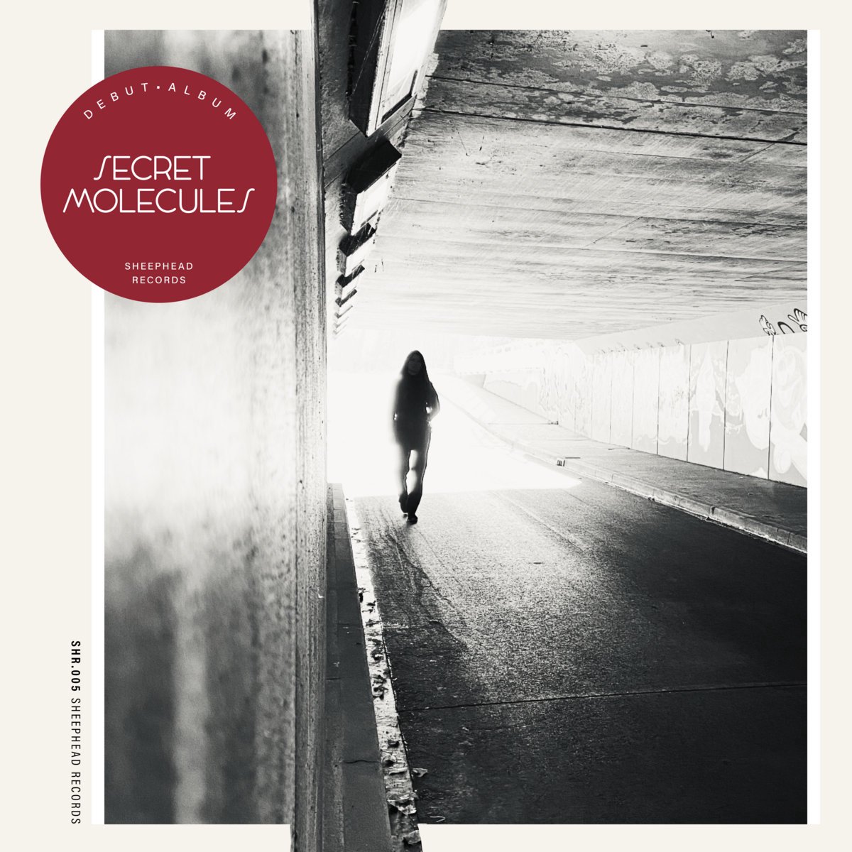 Secret Molecules - Secret Molecules (Cd)