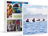 Bongo Bon - ZEEHONDEN SPOTTEN OP DE WESTERSCHELDE VOOR 3 PERSONEN - Cadeaukaart cadeau voor man of vrouw