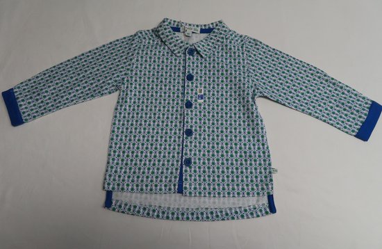 Overhemd - Jongens - Groen / blauw / wit - Lange mouw - 1 jaar 80