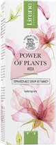 Power of Plants verjongend serum roos 30ml