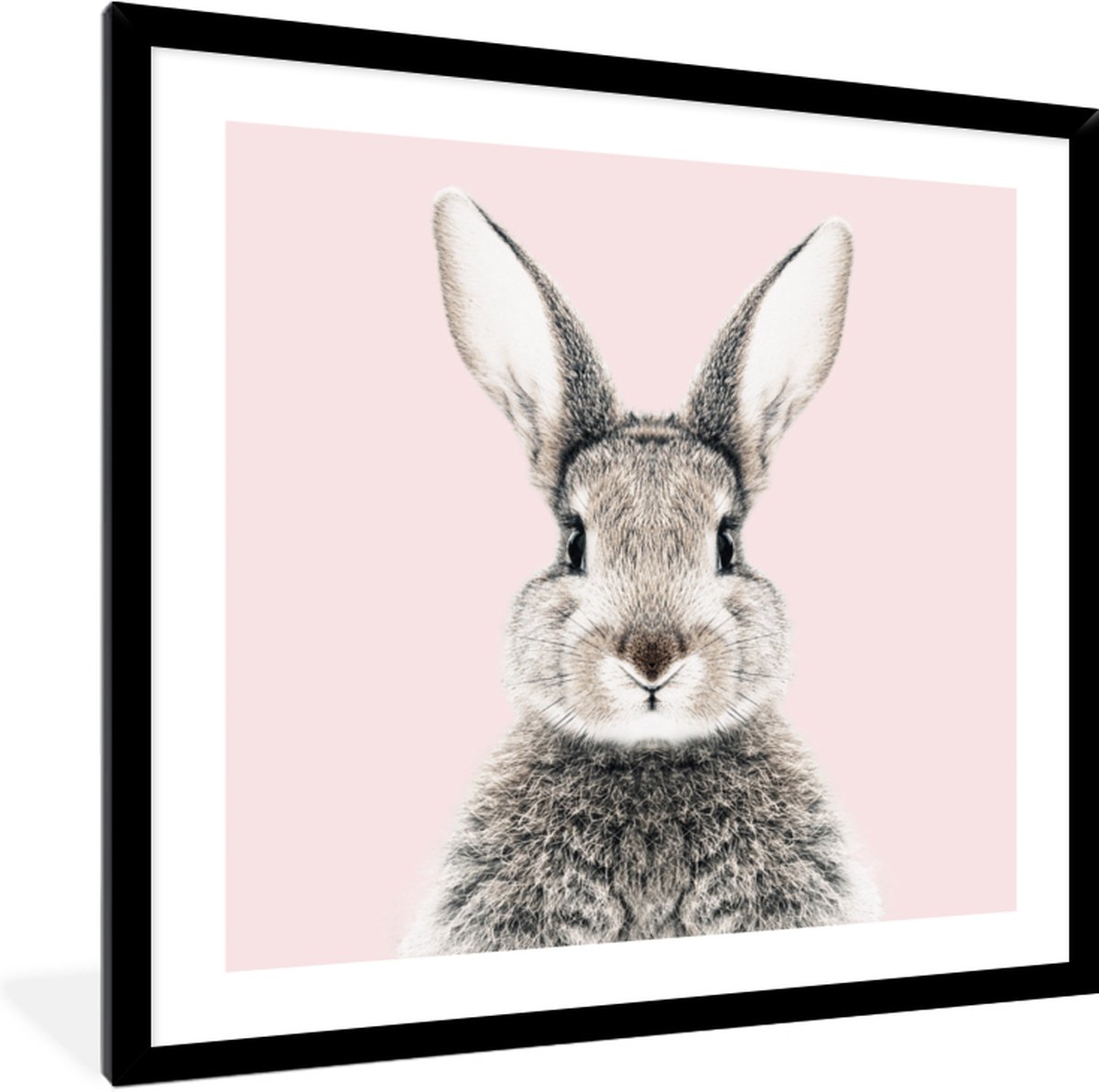FrameYourWall Fotolijst met poster 40x40 - Konijn - Huisdieren - Portret - Roze - Fotokader van hout - Kaders en lijsten - Houten fotolijstje - Wissellijst voor muurposter - Picture en photo frame - Posterlijst - Fotohouder Konijn - 40x40 cm