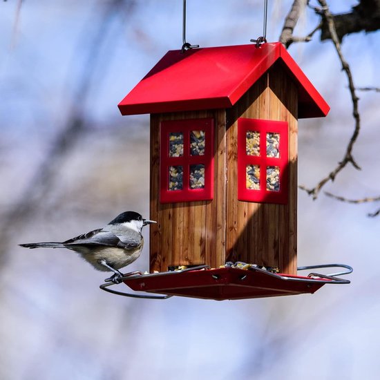 Mangeoire à oiseaux suspendue pour l'extérieur – Construction en métal,  trous de