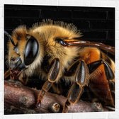 Muursticker - Dier - Bij - Tak - Zwart - Geel - 80x80 cm Foto op Muursticker
