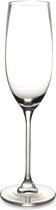 S&P Champagneglas 21cl Tinta - set/6