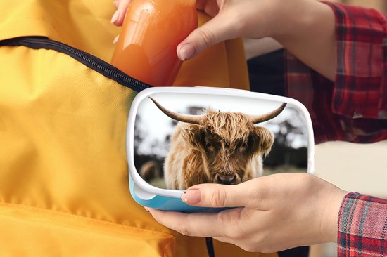 Boîte à lunch Blauw - Boîte à lunch - Boîte à pain - Scottish Highlander - Vache - Herbe - Animaux - Nature - 18x12x6 cm - Enfants - Garçon
