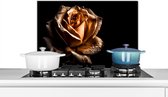 Spatscherm keuken 70x50 cm - Kookplaat achterwand Roos - Goud - Bloemen - Botanisch Zwart - Muurbeschermer - Spatwand fornuis - Hoogwaardig aluminium
