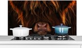 Spatscherm keuken 120x60 cm - Kookplaat achterwand Schotse Hooglander - Koe - Portret - Dieren - Muurbeschermer - Spatwand fornuis - Hoogwaardig aluminium