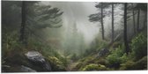 Vlag - Bos - Mistig - Bomen - Pad - Stenen - 100x50 cm Foto op Polyester Vlag