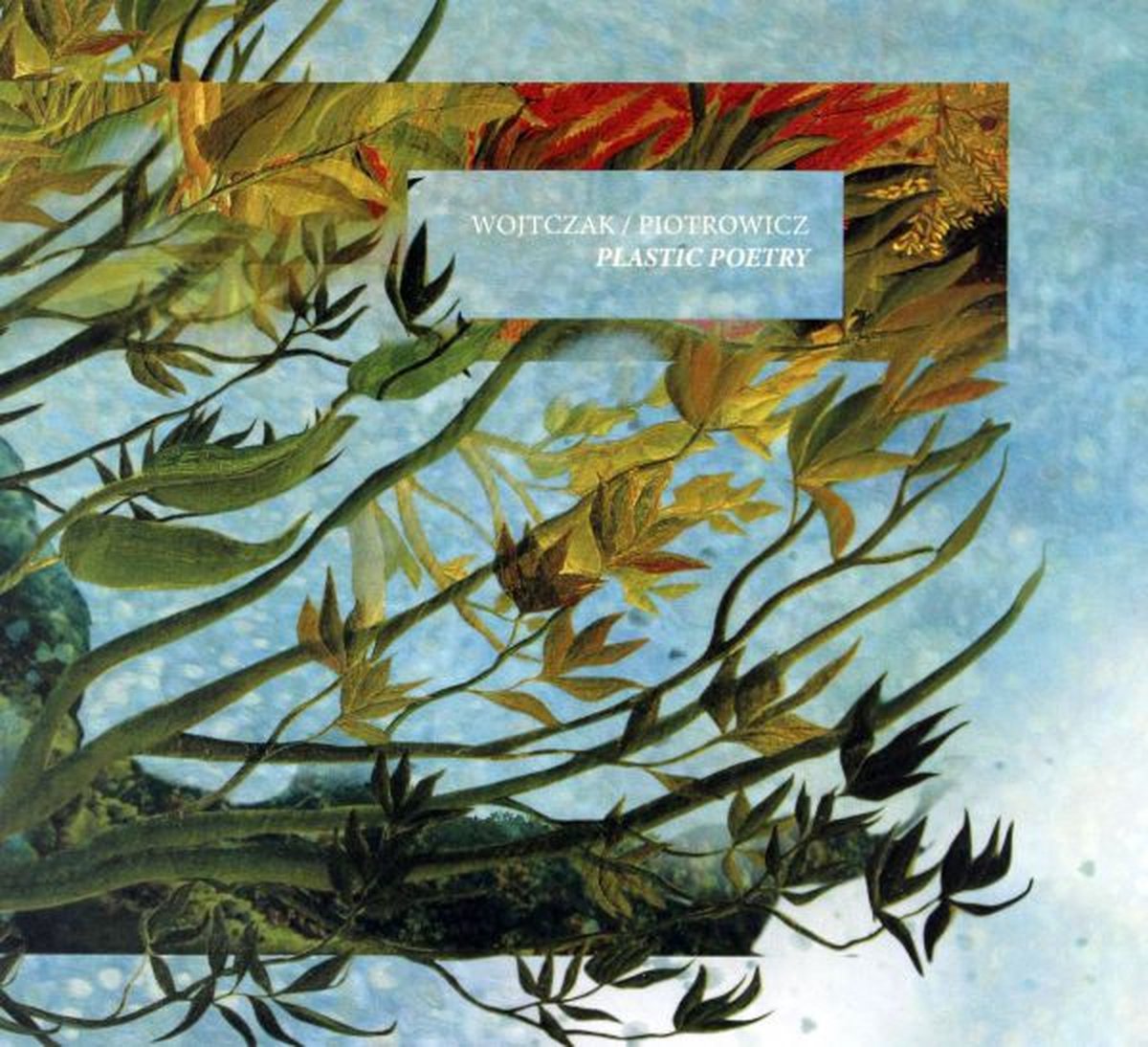 Irek Wojtczak & Kamil Piotrowicz: Plastic Poetry [CD]
